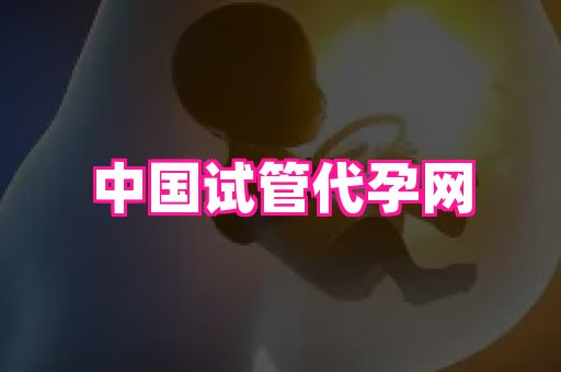 61助孕网 2